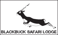 Blackbuck Safari Lodge