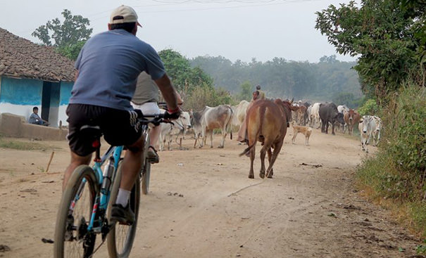 Cycling