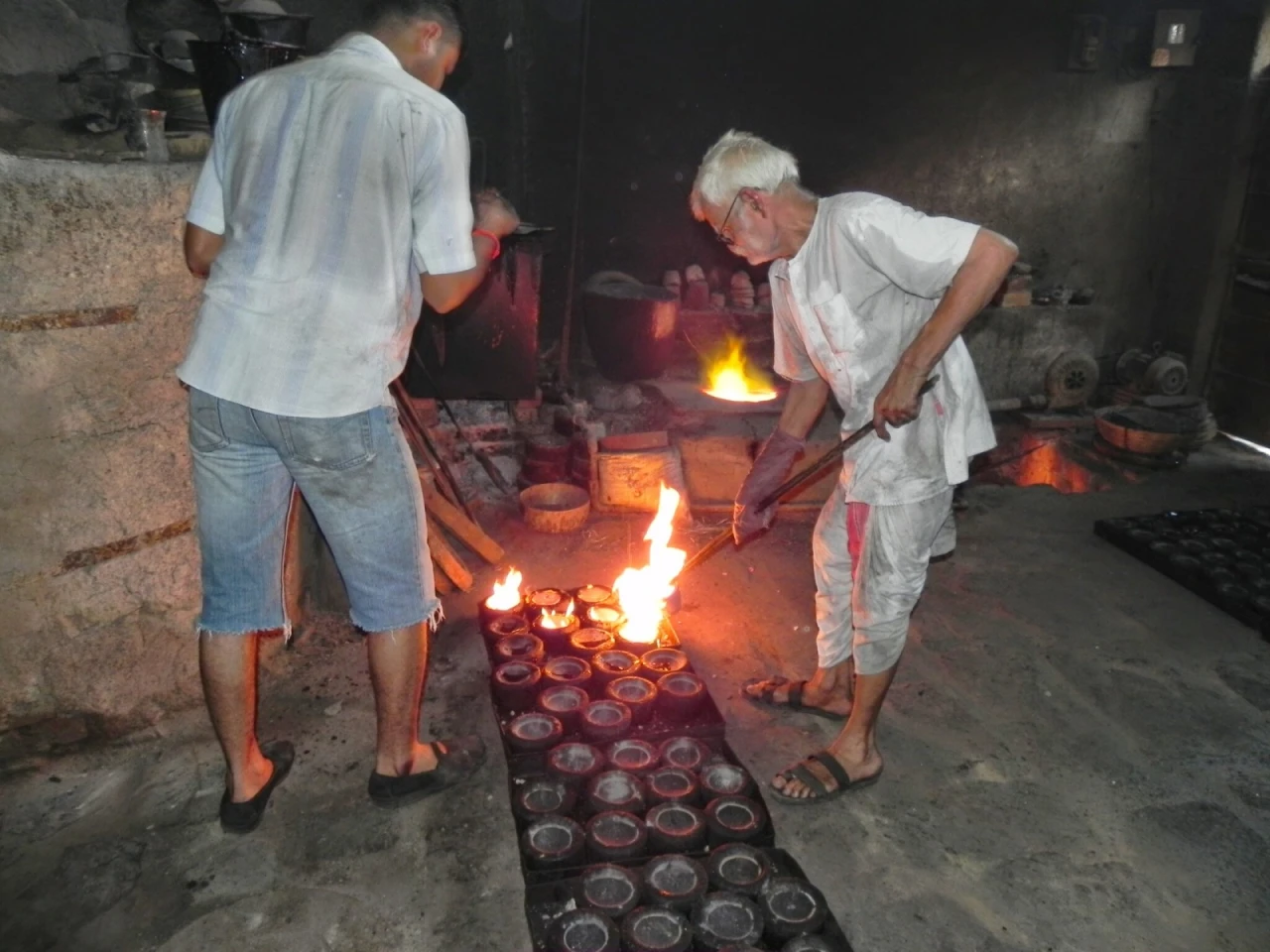 The Thrill of Witnessing an Indian Wolf on Hunt