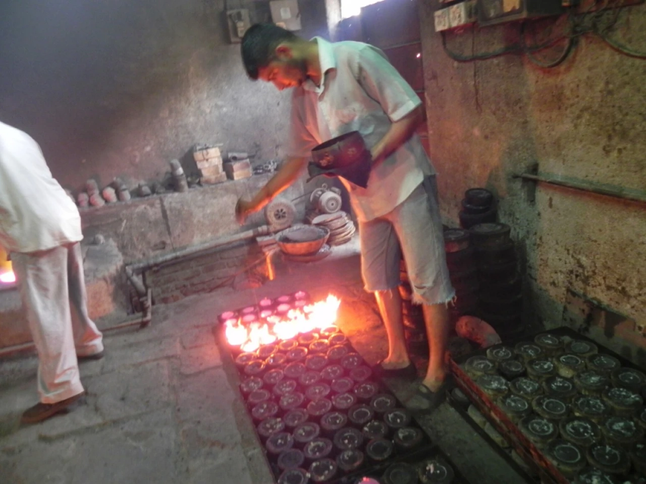 The Thrill of Witnessing an Indian Wolf on Hunt