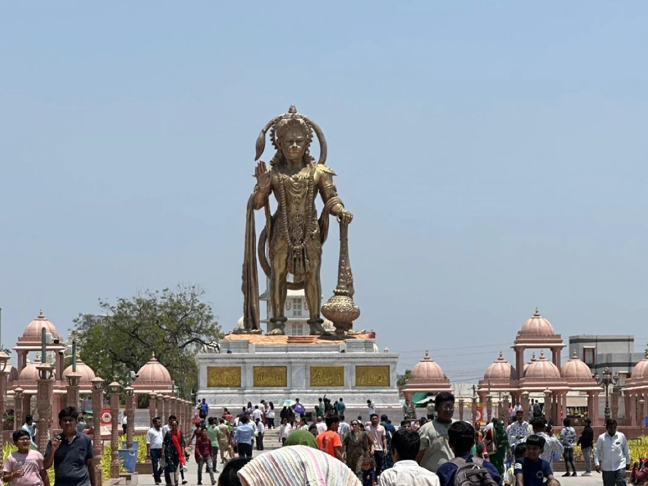 The Thrill of Witnessing an Indian Wolf on Hunt