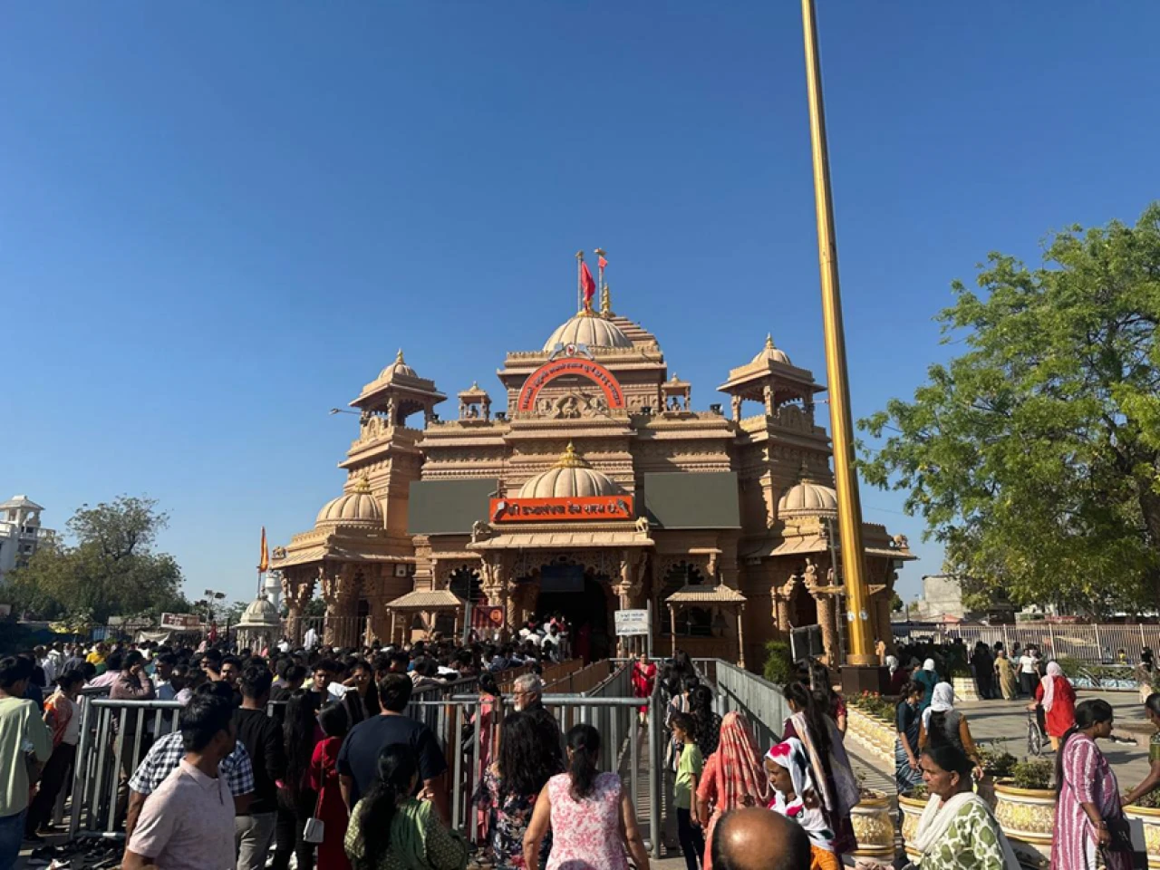 The Thrill of Witnessing an Indian Wolf on Hunt