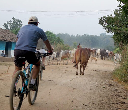 Cycling